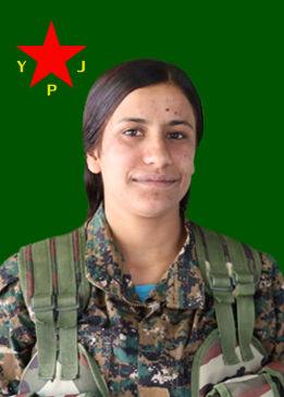 Z&Icirc;LAN KOBAN&Ecirc;