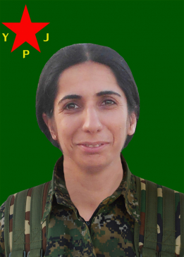 HÊVÎ AMED