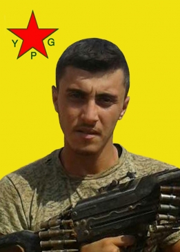 BARAN ŞEDADE