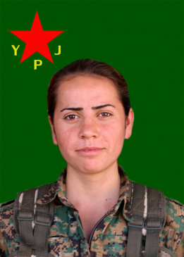 VEJÎN ZAGROS