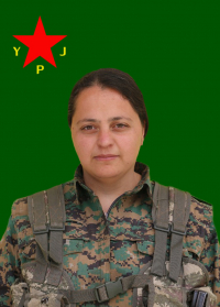ROZA EFRÎN