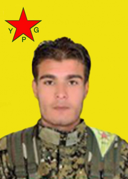ŞIYAR QAMIŞLO