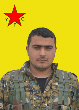 YILMAZ SERHED