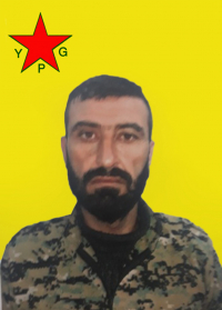 DIYAR ŞEDADÊ