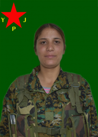 ROJ ŞEHBA