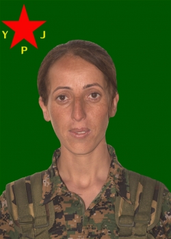 ARÎN TEKÎN