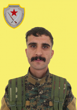 BAZ AMÛDÊ
