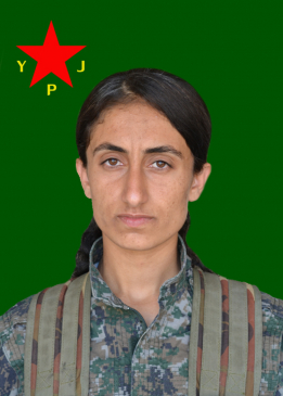 DENÎZ AMED