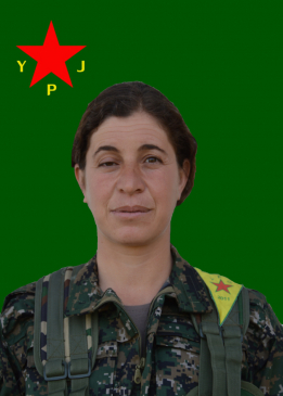 MEDYA MEYSA