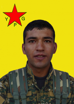 SERHED ŞEREWÎ
