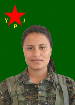 SOSIN DIYAR