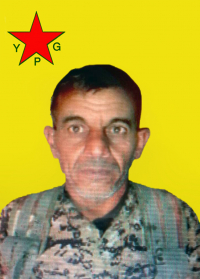 XAL ŞEDADÊ