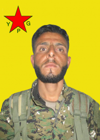 FEDAÎ ŞEDADÊ
