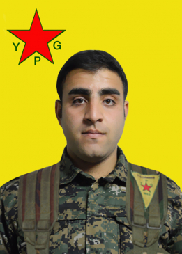 ROJVAN KOBANÊ