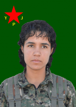 ROJAVA GERÎLA