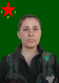 VEJÎN ÇIYA