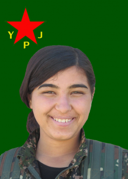 NEWROZ ZAGROS