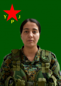 ARÎN ZAGROS