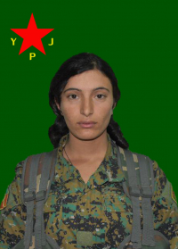 SOZDAR KOBANÊ