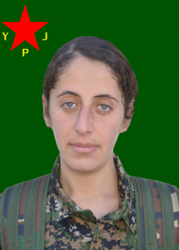 DERSIM RONYA GEVER