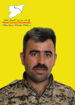 ÇOLO SEREKANÎ