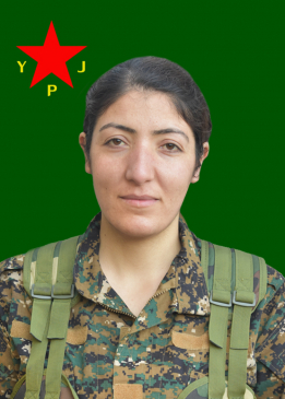 SERHILDAN GILİDAĞ