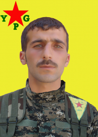 ŞÊRO QAMIŞLO