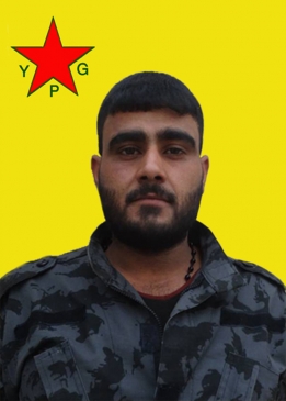 AZAD HESEKE