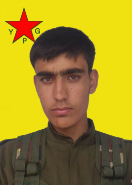 ÇEKDAR KOBANÊ