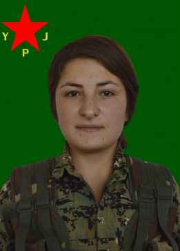 Ş&Icirc;LAN BOTAN