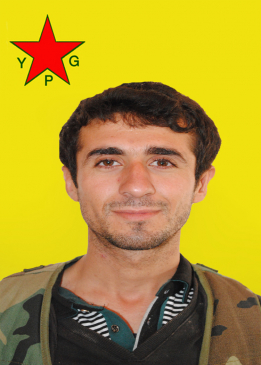 RÊNAS AMED