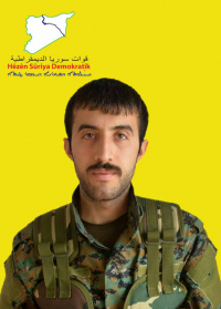 NUMAN AMED