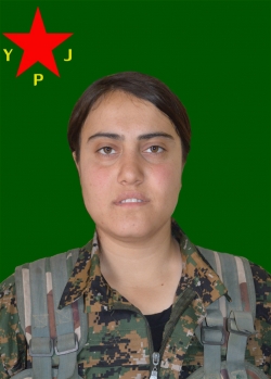 BESÊ AMED