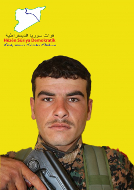 ROJ TEDMUR