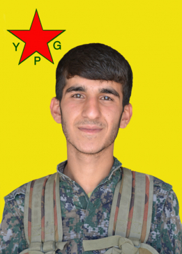 REDUR AMED