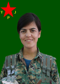 BERÇEM ŞIYAR