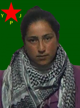 SOZDAR LEHÎNÊ