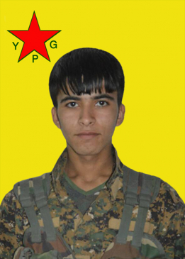 NUMAN AMED