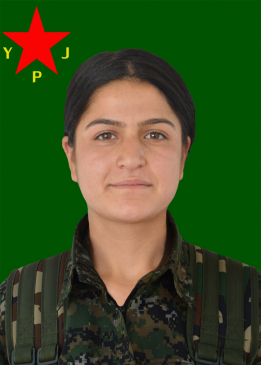 &Ccedil;&Icirc;&Ccedil;EK D&Ecirc;RIK