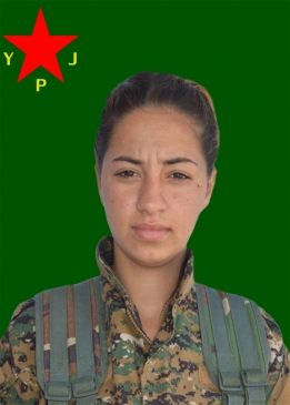 BERİTAN SEMA