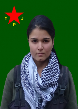 NEWROZ ZERDEŞT
