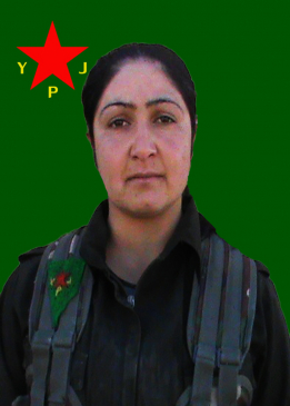 BIHAR KOBANÊ