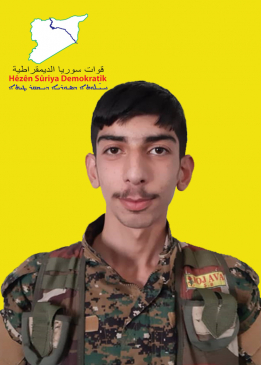 RONÎ HESEKÊ