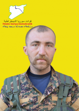 HÎWA GERMIYANÎ