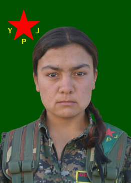PEYMAN KOBANÊ