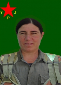 DİCLE SERHED