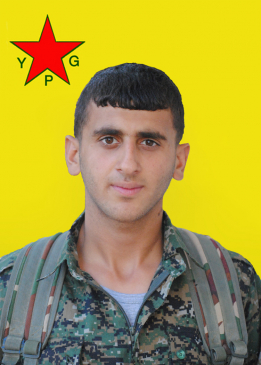GELÎ ROJ