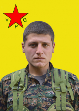 ŞÊRGO AMED