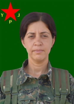 AVAŞÎN BASYA