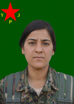 NÛDA ARJÎN